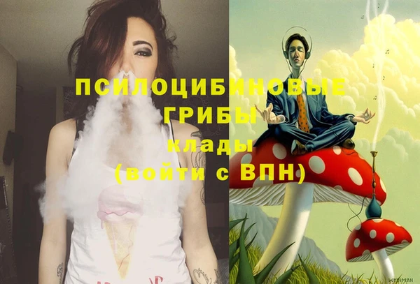 амф Балахна